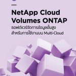 Ad-NetApp-300×450-pixels-v1