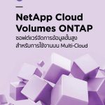 Ad-NetApp3-300×450-pixels